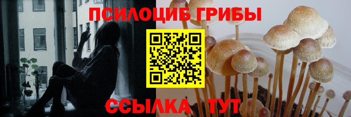 Трёхгорный  Галлюциногенные грибы ЛСД  Вход с VPN 